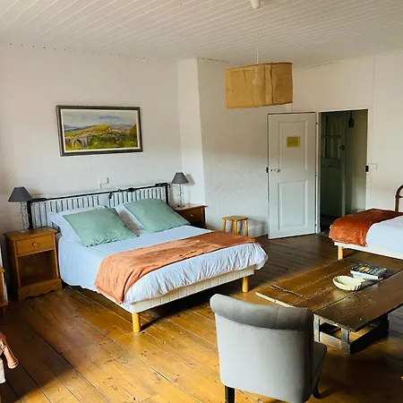 Ermitage Saint Vincent Bed & Breakfast Vieille-Brioude
